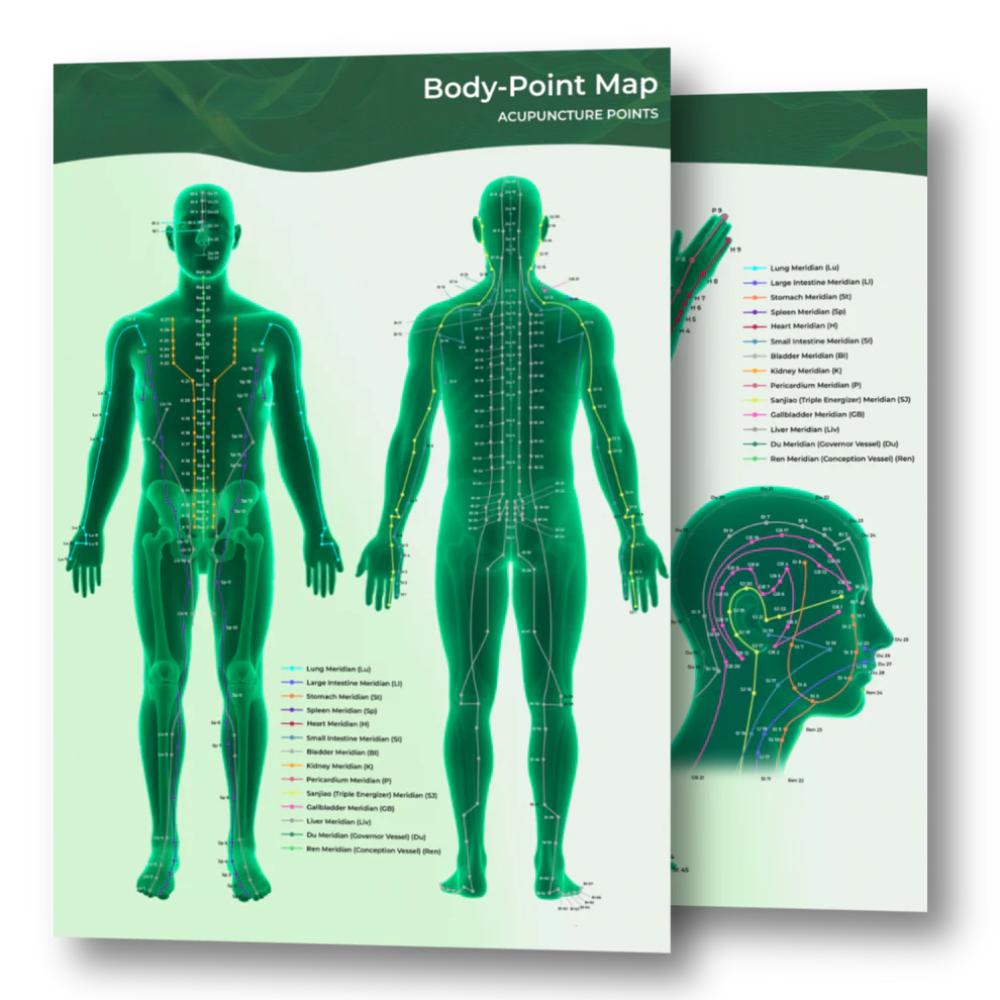 Body Point Map (Digital Edition)