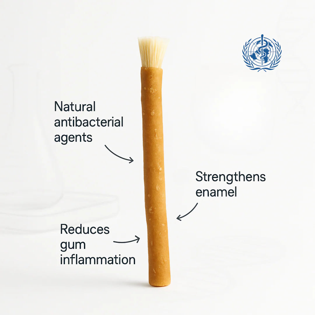 Lavily™ - Miswak