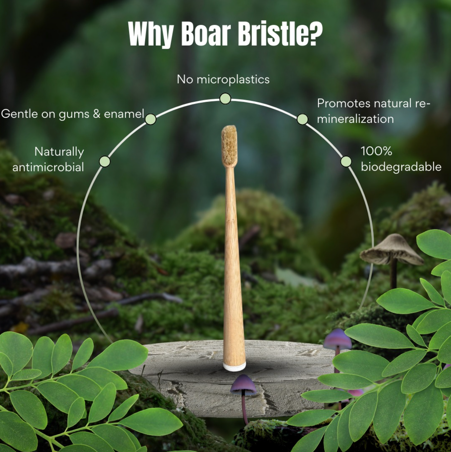 Lavily™ - Boar Bristle Toothbrush (4 Pack)