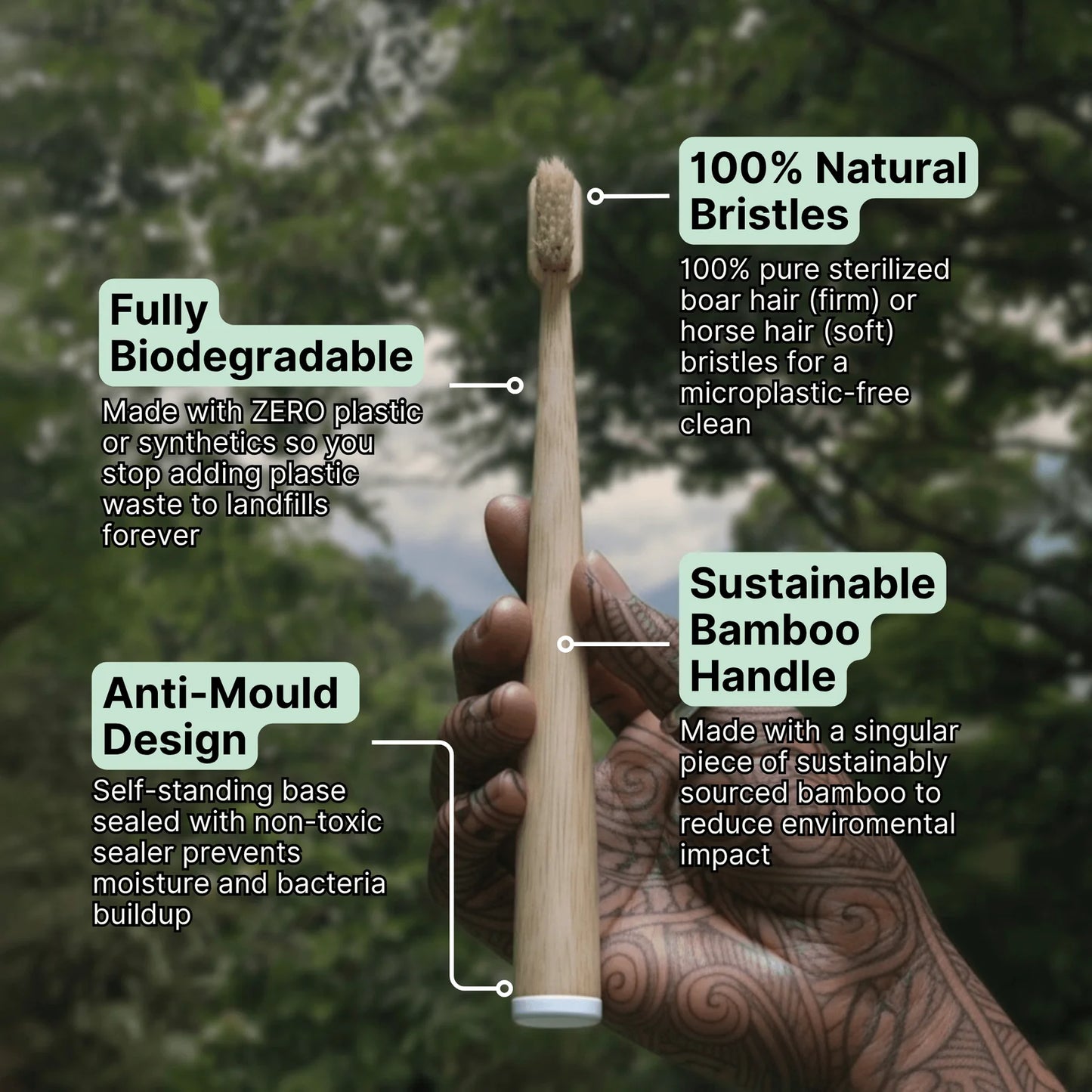 Lavily™ - Boar Bristle Toothbrush (4 Pack)