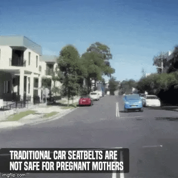 Lavily - Pregnancy Safety Belt