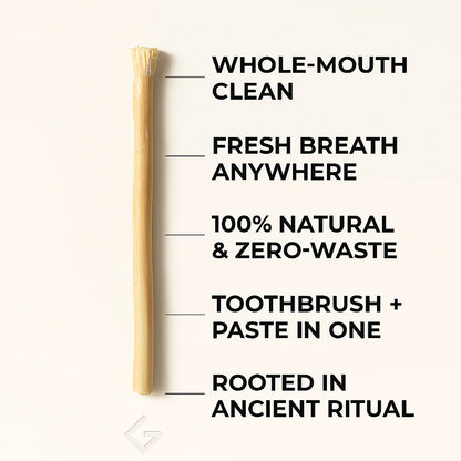 Lavily™ - Miswak