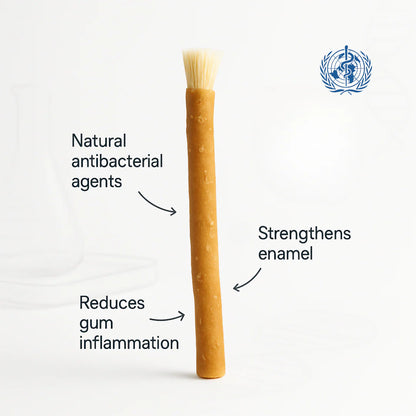 Lavily™ - Miswak