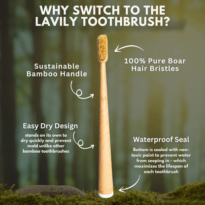 Lavily™ - Boar Bristle Toothbrush (4 Pack)