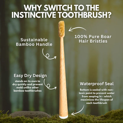 Lavily™ - Boar Bristle Toothbrush (4 Pack)